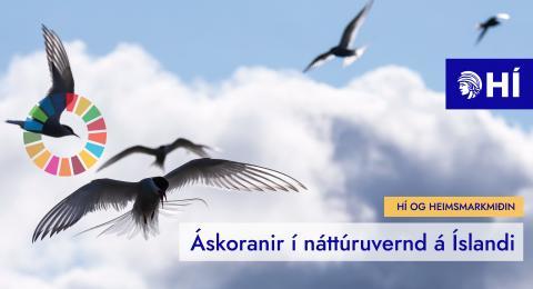 HÍ og heimsmarkmiðin: Áskoranir í náttúruvernd á Íslandi